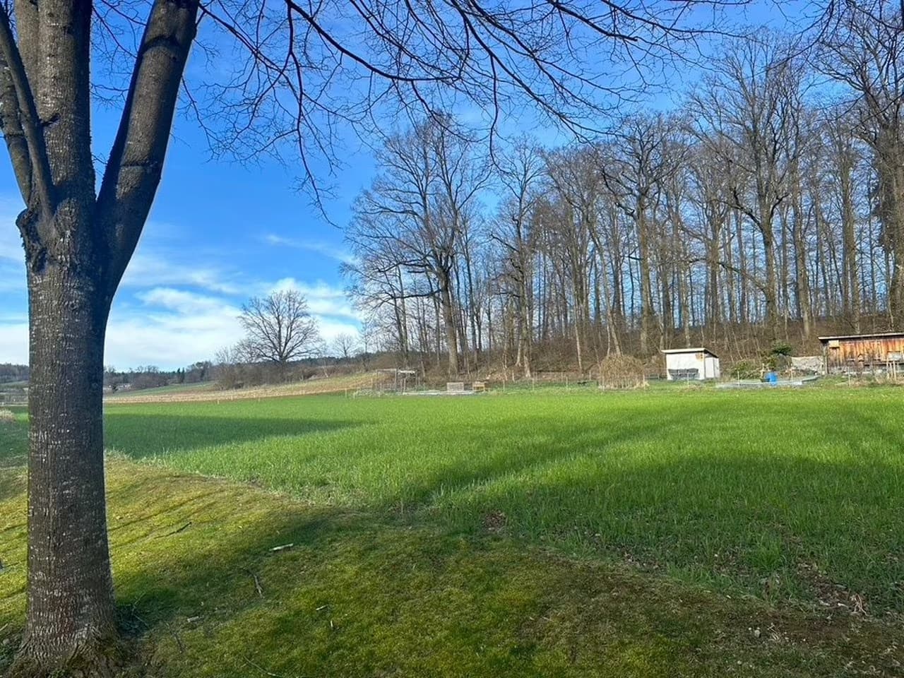 Am Waldrand wohnen, Kloten (ZH), Schweiz
